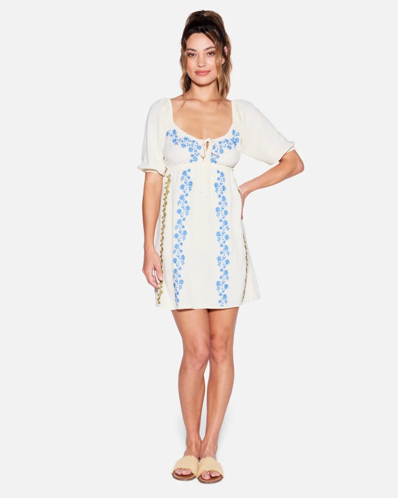 brittany floral embroidered dress scaled