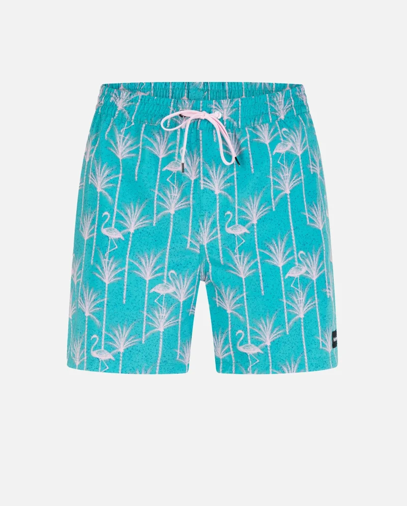 cannonball volley 17 boardshorts for men